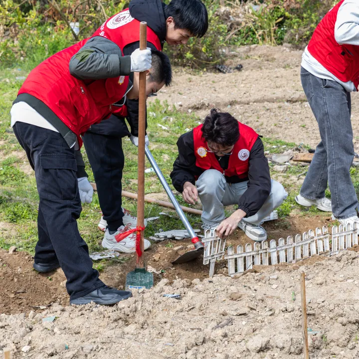 图片 27.png 图片 27.png